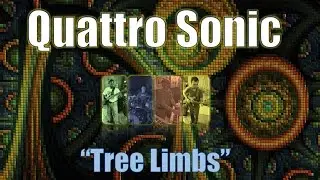Quattro Sonic - 
