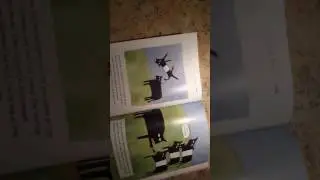 Clancy the Courageous Cow