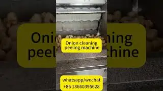 Automatic Onion Cleaning and Peeling Machine | High-Efficiency Onion Peeler for Commercial Use