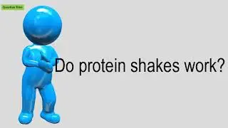 Do Protein Shakes Work?