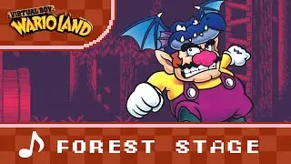 Forest Stage (Acoustic Cover) - Virtual Boy Wario Land