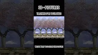 3D - pictures. training for your eyes