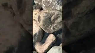 Craziest stone carvings depicting an alien 👽 like being