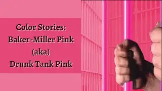 Color Stories Episode 20: Baker Miller Pink | Drunk Tank Pink