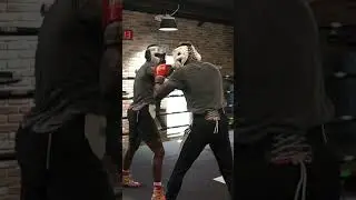 ERICKSON LUBIN SPARRING