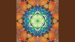 Dub Swamp