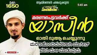 HUBBUL HABEEB ﷺ SPIRITUAL GATHERING | DAY 1650 | LEAD BY HAFIL MUHAMMAD ILYAS SAQAFI MADANNOOR