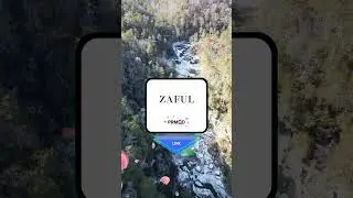Zaful New Discount Code - June 2025 | Save money with #PRMQD.io