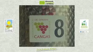 El único Vino de Cangas ecológico está en Cecos (Ibias)