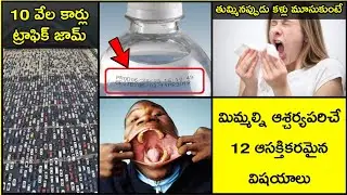 Top 12 Interesting Facts - Episode No.3 || Unknown And Interesting Facts By TJ In Telugu ||