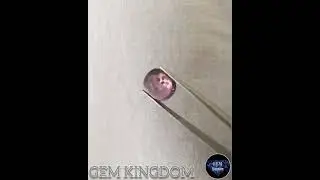 PINK SPINAL | &bull;Gem_Kingdom&bull;