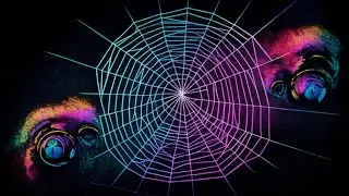 How Spiders Pre-Plan Their Web Architecture
