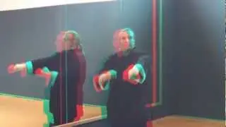 3D (Rot Cyan) Seven Star Mantis Kung Fu Grundtechniken (1-4) M-Kung-F