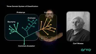 FSC Part 1 | Biology | Chapter 1 | Three Domain System of Classification By PGC
