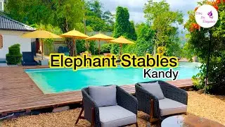 Exploring the Stunning Elephant Stables Hotel | Sri Lanka Travel Vlog #Kandy #KandyHotels #Hotel