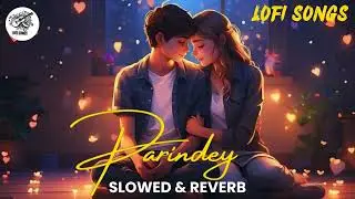 Parindey - B Praak | Gippy Grewal, Sargun Mehta & Roopi Gill | Avvy Sra | Latest Punjabi Songs 2024