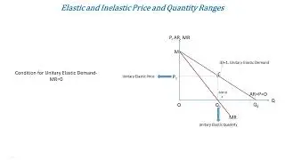Elastic Inelastic Price & Quantity Range