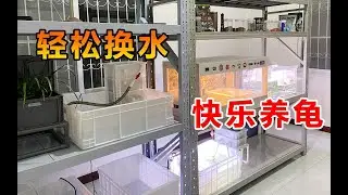 养龟太多换水麻烦?这样轻松换水，做一个快乐的养龟人！