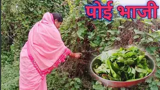 छत्तीसगढ़ के भाजी में से एक पोइ भाजी बनाये के देसी तरीका || पोई आलू के साग || CG vlogger mamta ||