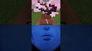 minecraft hack you didn't know pt 8 #minecraft #minecraft2025 #minecraftbestbuild #minecraftshorts