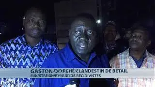 Opération de saisie des vendeurs du marché clandestin de bétail d'Akpakpa
