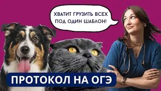 ПРОТОКОЛ НА ОГЭ СОБАК И КОШЕК СПОЙЛЕР - ИХ МНОГО