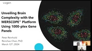Unveiling Brain Complexity with the MERSCOPE&reg; Platform Using 1000-plex Gene Panels