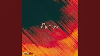 Ant Low