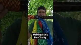 Preview: Walking stick for Camp Aloha!