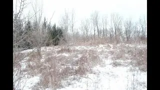 3847 Lake Vista Drive, Dexter, MI - 25007832