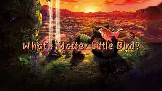 Pokemon Secret of The Jungle 