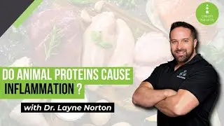 Do Animal Proteins Cause Inflammation with Dr Layne Norton
