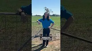PART 3: The &ldquo;gate gate&rdquo; saga is done and dusted 👍 #FarmLife #BoganGate