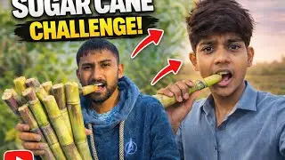 Ganna (Sugarcane) Eating Challenge 😱 | Desi Vlog Challenge | Must Watch