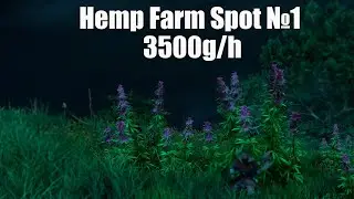 Мастер класс по сбору Hemp в Windsward  Спот №1
