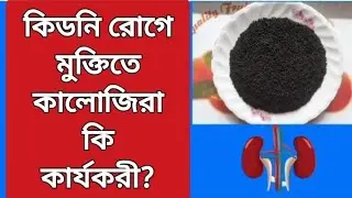 Is black cumin effective in treating kidney disease?| Is black cumin effective in treating kidney...