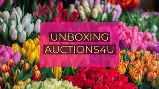 Unboxing a few packages that I won on Auctions4U YouTube auction channel