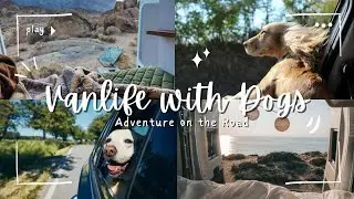 Sprinter Van Rust Repair, Delays & Name Change &mdash; Van Life Build Update