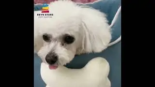 Pet thermal Warmer Winter Cozy Sofa Bed #cataccessories #dog #pet #cat