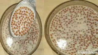 100% EFFECTIVE KADA FOR BACK PAIN N JOINTS PAIN IN WINTER // HALEEM KADA // WINTER SPECIAL