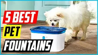 Best Pet Fountains [Top 5 Picks]
