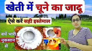 खेती में चूने का सही प्रयोग | Limestone uses | chuna + zinc sulphate + ferrous sulphate + urea
