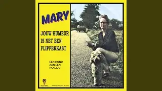 Jouw Humeur Is Net een Flipperkast