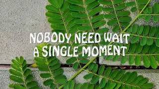 Anne Frank quotes whatsapp status | Inspirational speeches and thoughts Motivational status