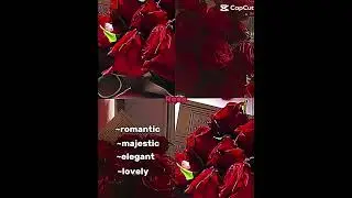 What flower you think you are ￼
