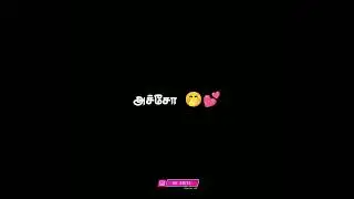 February 14 lovers day singles alaparaigal😂🤭❤️ black screen whatsapp status tamil||ownvoice||vkedits