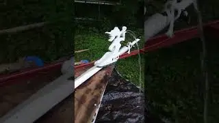 Micro cruiser building White Widow