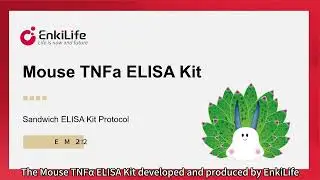 Accurate Mouse TNF-&alpha; ELISA Kit | EnkiLife