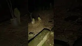 TANGGAPOCONG#HOROR#POCONG#SHORT#HOROR#TRENDING