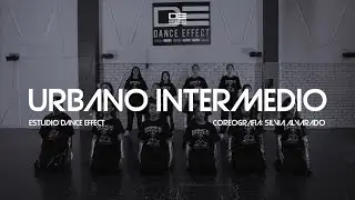 URBANO INTERMEDIO | Dance Effect clases
